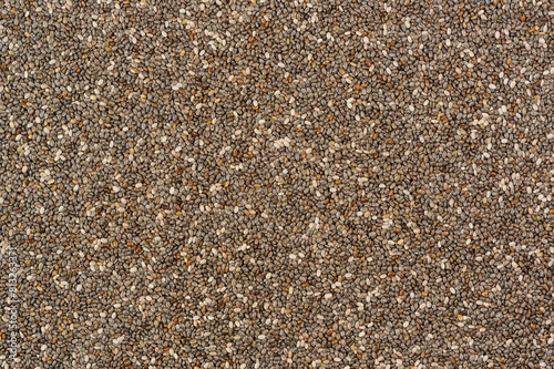 Chia Seeds Close-up as Background