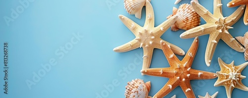 Starfish ornaments flat design top view seaside holiday theme animation Monochromatic Color Scheme photo