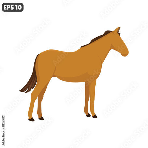 vector illustration of adult horse animal isolated on white background