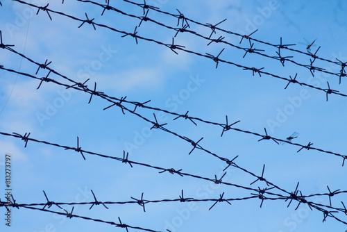Barbed wire. Barbed wire on fence with blue sky