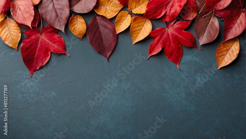 Fall Autumn Leaves Vivid Copy Space Plant