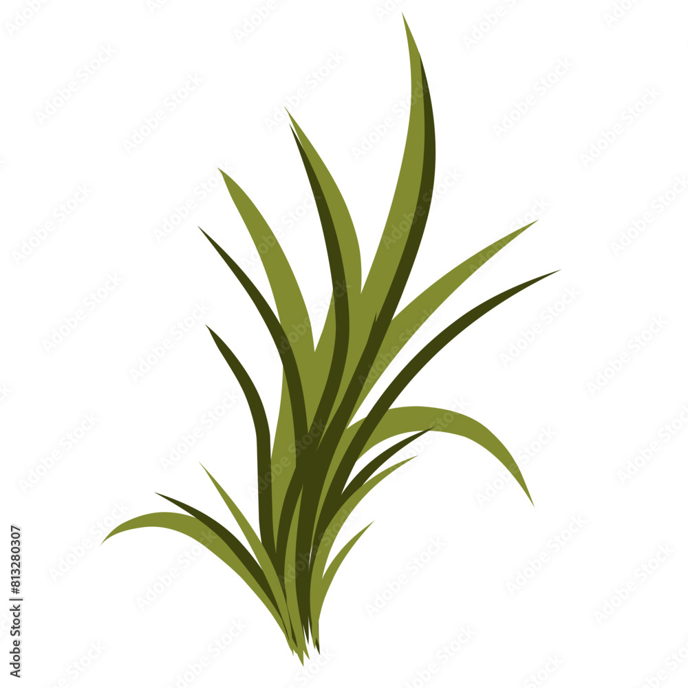 Fototapeta premium Grass illustration