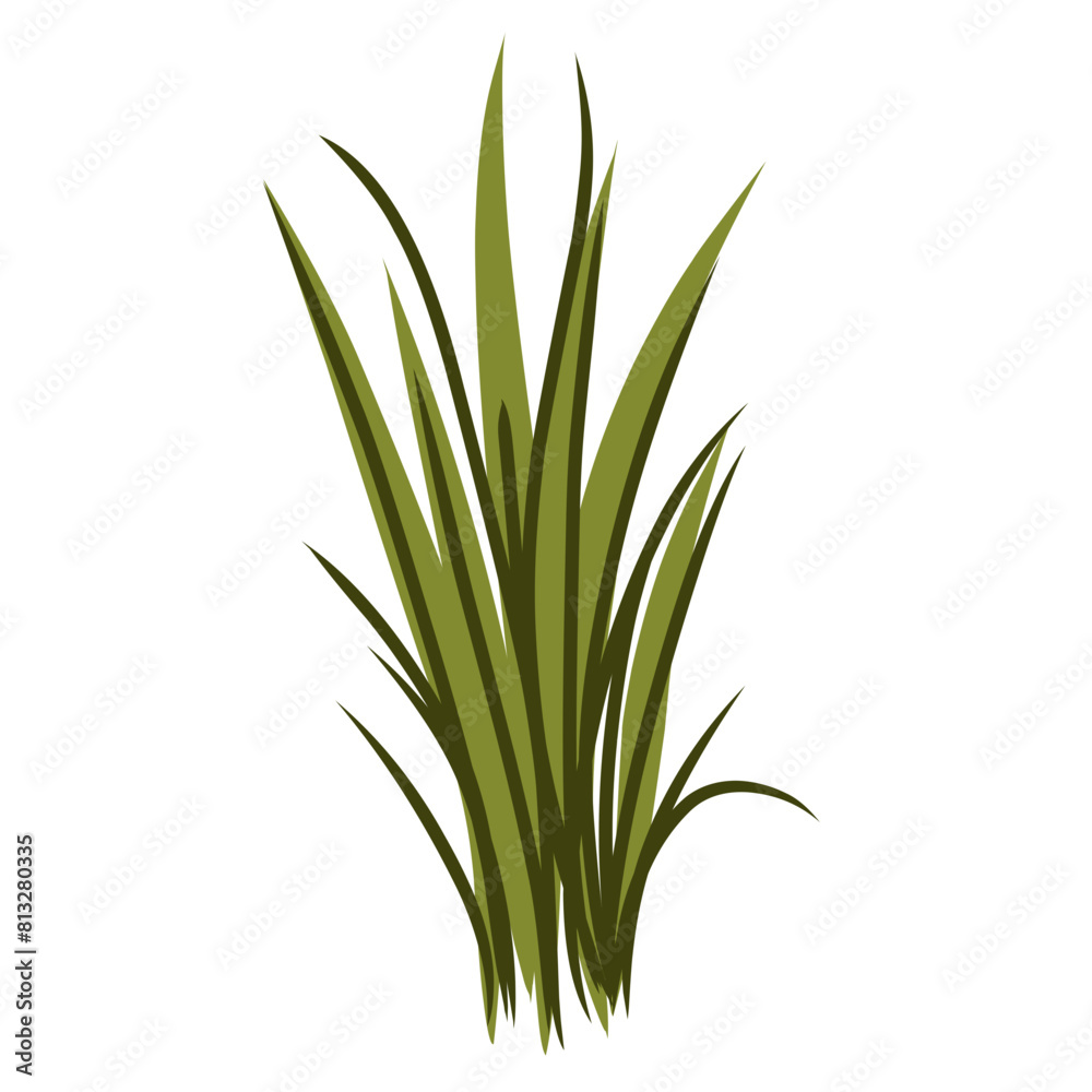 Grass illustration Grass illustration
