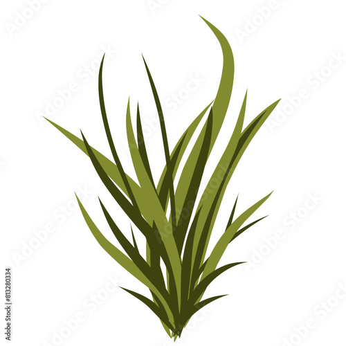 Grass illustration