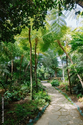 path in botanical gardens in Santa Barbara, California, United States of America. © Zenstratus