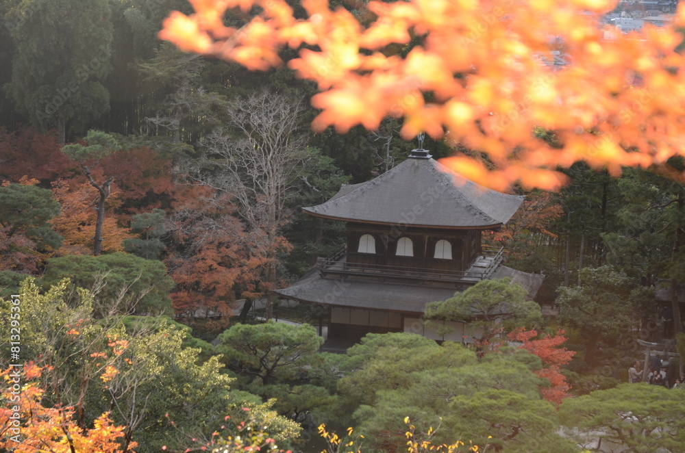 【京都】紅葉と慈照寺銀閣