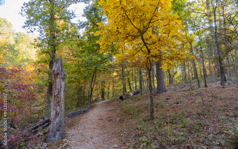 Sunny view of the beautiful fall color of Hobbs State Park-Conservation Area Sunny view of the beautiful fall color of Hobbs State Park-Conservation Area