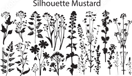 Collection of                       Mustard         silhouette Blackened shape Vector illustration