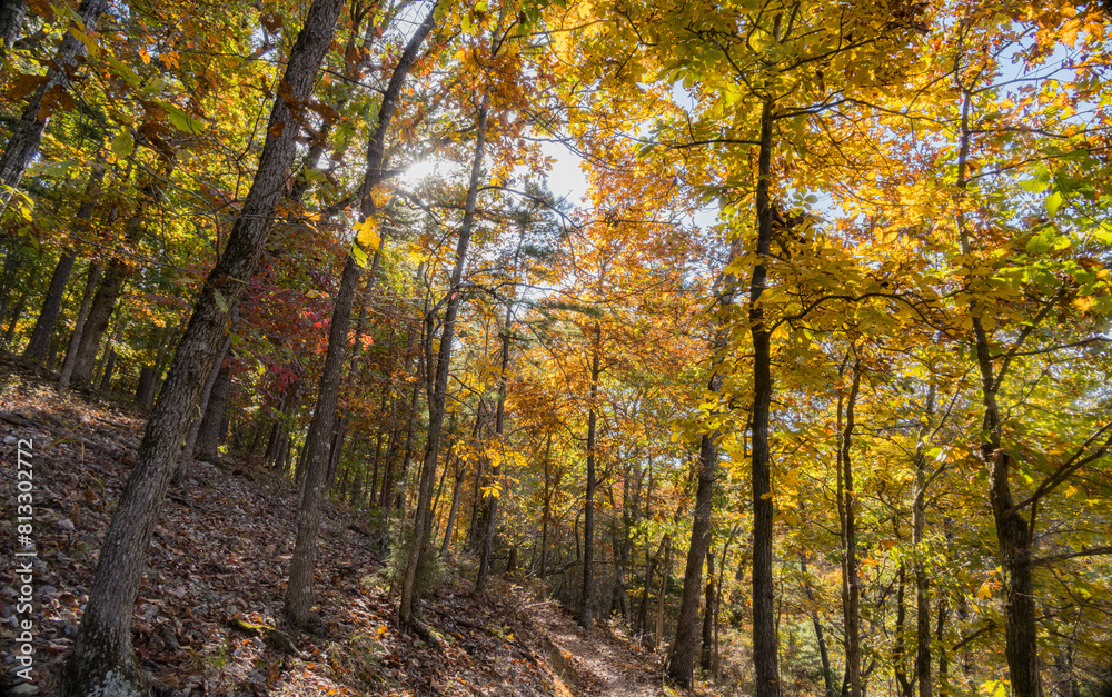Sunny view of the beautiful fall color of Hobbs State Park-Conservation Area Sunny view of the beautiful fall color of Hobbs State Park-Conservation Area