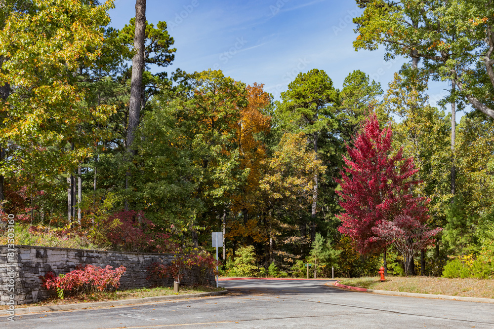 Naklejka premium Sunny view of the beautiful fall color of Hobbs State Park-Conservation Area