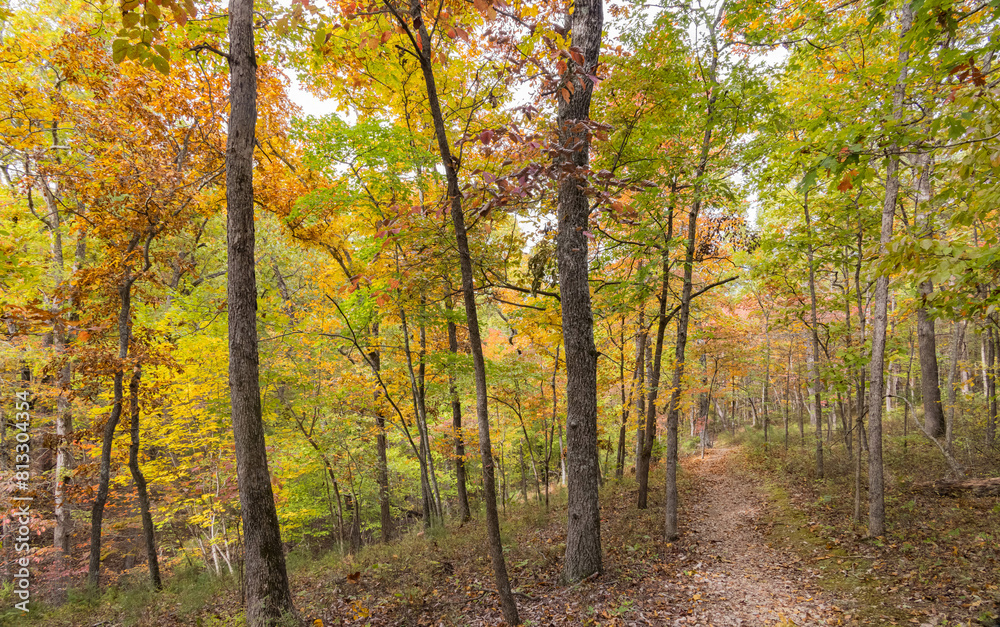 Sunny view of the beautiful fall color of Hobbs State Park-Conservation Area Sunny view of the beautiful fall color of Hobbs State Park-Conservation Area