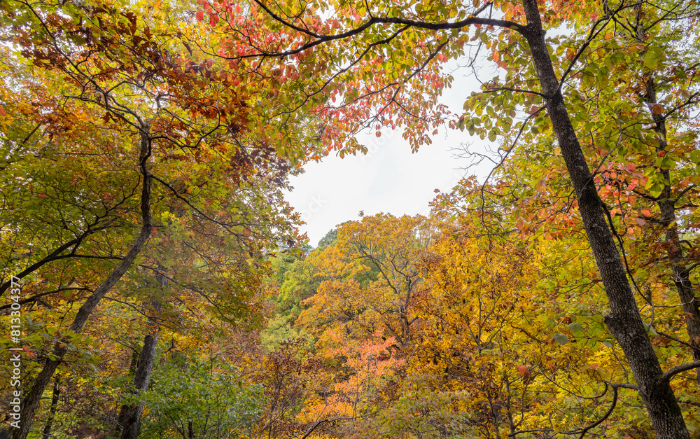 Sunny view of the beautiful fall color of Hobbs State Park-Conservation Area Sunny view of the beautiful fall color of Hobbs State Park-Conservation Area