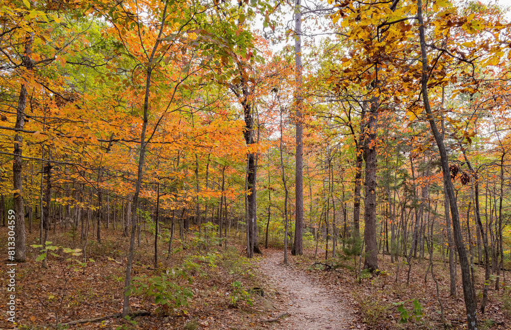 Obraz premium Sunny view of the beautiful fall color of Hobbs State Park-Conservation Area
