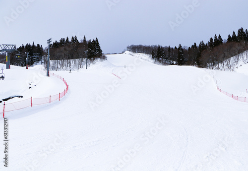 Ski field large white snow on slopes. Tourists come to play winter sports. Ski slopes snow. Winter banner panorama of slope at ski resort, people skiing, surrounded by pine trees, blue sky. Category	
 photo