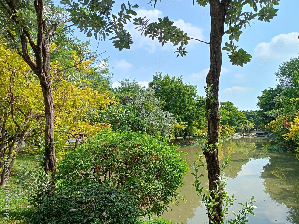 green trees and lake beauty nature in Thailand garden green trees and lake beauty nature in Thailand garden
