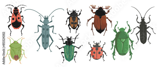 vector drawing set of bugs, beetles, hand drawn insect isolated at white background