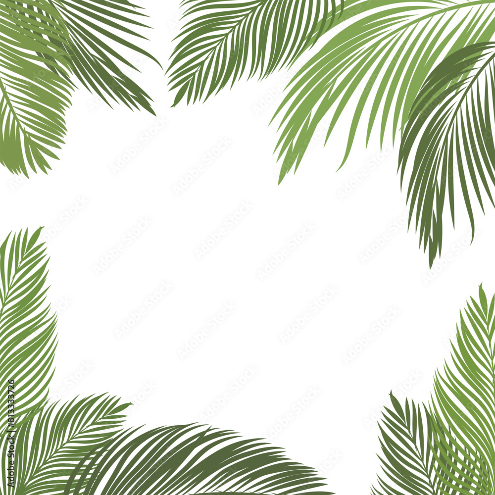 Frame of Coconut Leaves for Summer Greeting Frame of Coconut Leaves for Summer Greeting