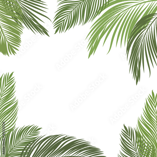 Frame of Coconut Leaves for Summer Greeting