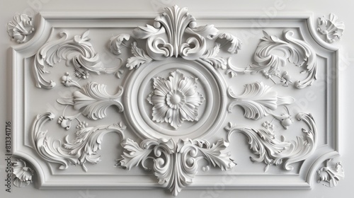 Luxury white wall design bas-relief with stucco mouldings rococo element   photo