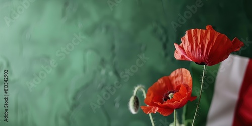 Artistic composition of red poppies against a textured green and red background, Red poppy flowers on green background with Italy flag. Liberation day holiday. Festa della liberazione photo