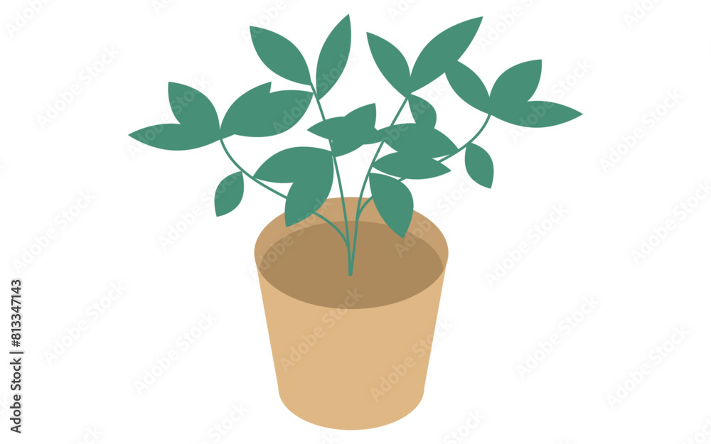 Houseplants in small flowerpots, isometric illustration Houseplants in small flowerpots, isometric illustration