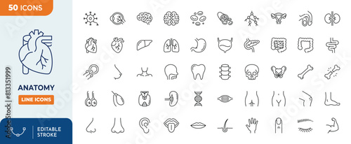 Anatomy Line Editable Icons set. Containing brain, lungs, stomach, skeleton, etc. Editable stroke. Vector illustration	