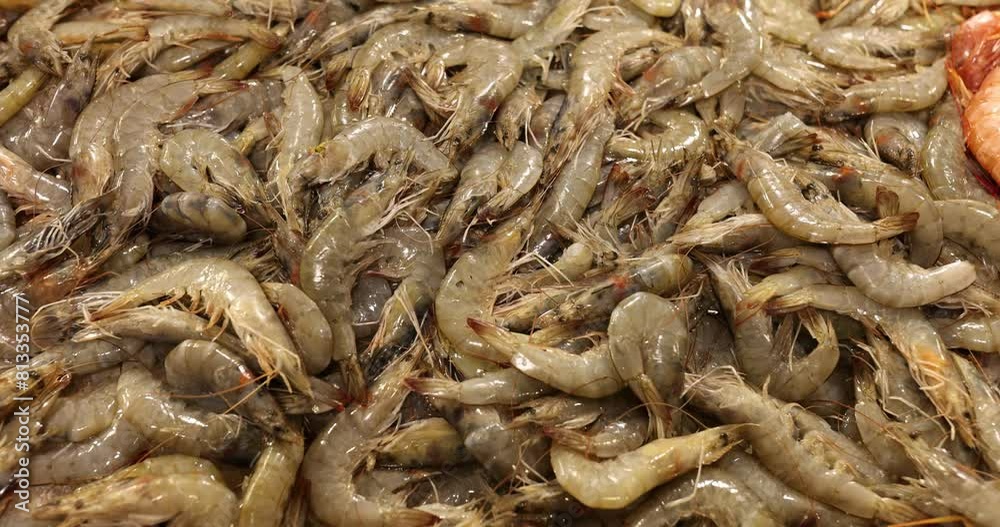 Display of fresh high-quality shrimps arranged in tempting heap Display of fresh high-quality shrimps arranged in tempting heap