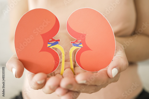 Hands holding kidney shaped paper, world kidney day, Organ Donor Day, Chronic kidney disease concept