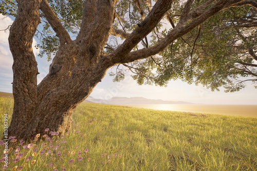 3D rendering of the landscape of a large tree in the meadow.
