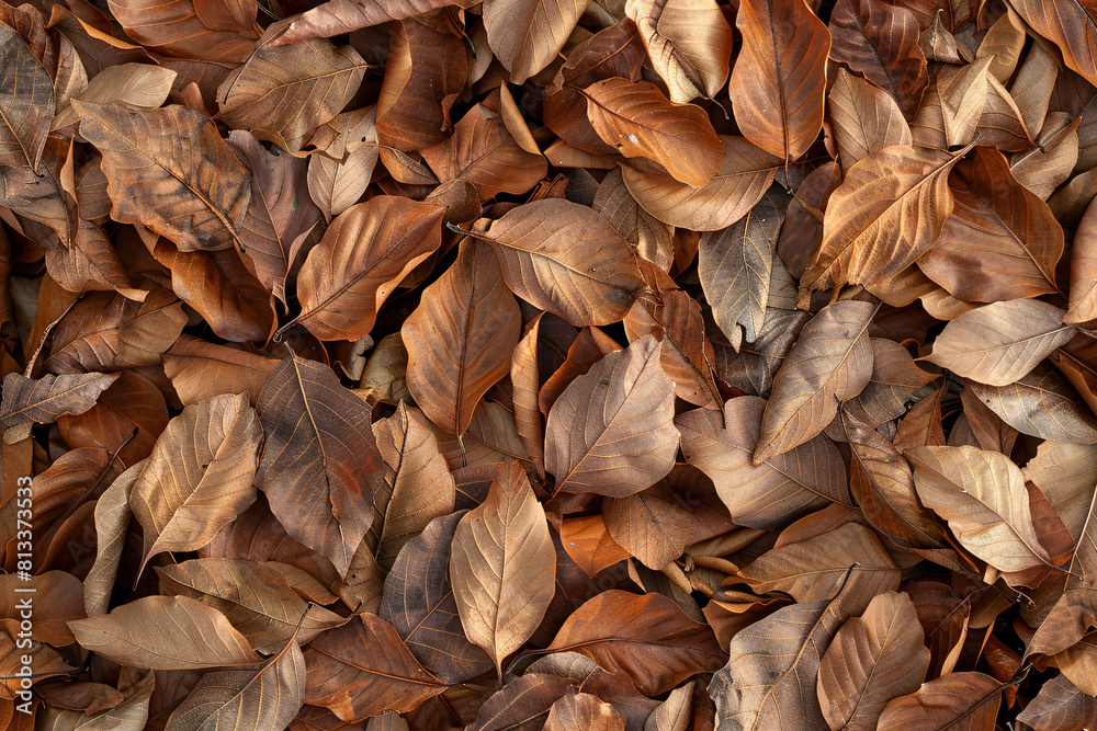 Autumnal leaves scattered on the ground, forming a vibrant tapestry of brown, yellow, and orange hues Autumnal leaves scattered on the ground, forming a vibrant tapestry of brown, yellow, and orange hues