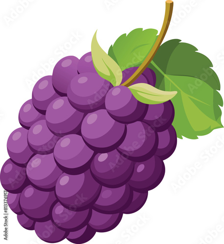 Vibrant Purple Grape Cluster with Green Leaves Fresh Berry Fruit Vector Illustration.