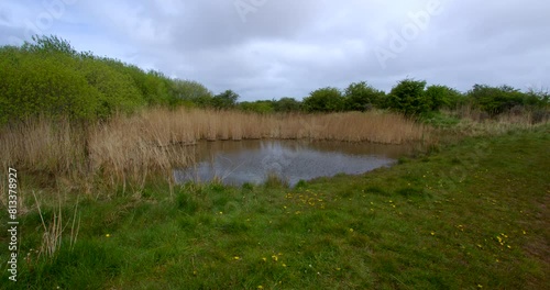 Extra Wide shot of a lake pond at Theddlethorpe, Dunes, National Nature Reserve at Saltfleetby photo