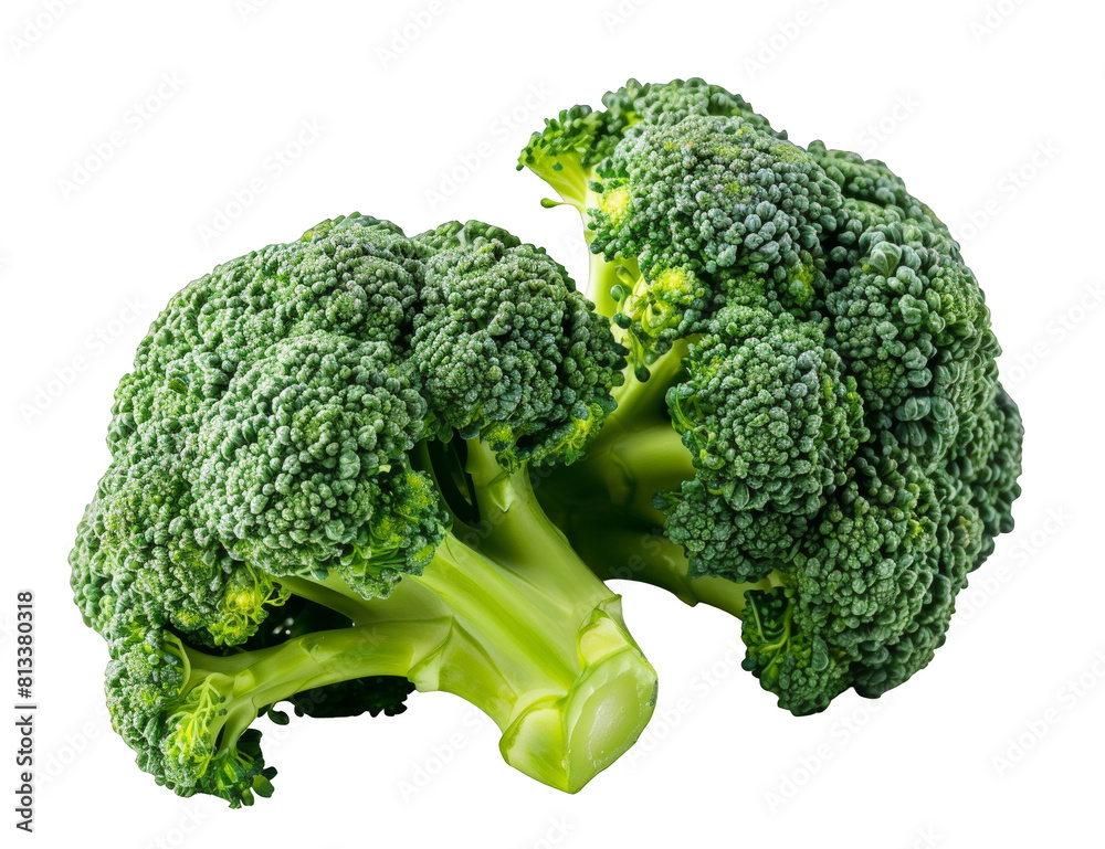 broccoli isolated on white background, png file with transparent background for design work. broccoli isolated on white background, png file with transparent background for design work.