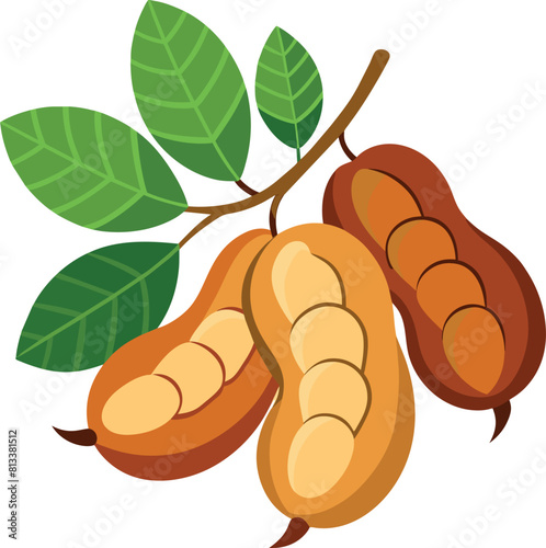 Cartoon Peanuts with Green Leaves Whole and Opened Nut Illustration