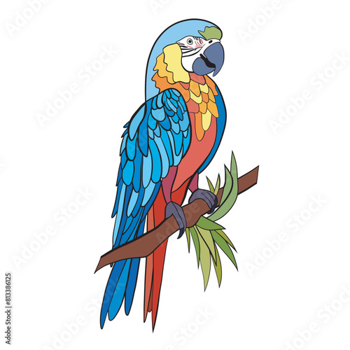 parrot on a branch