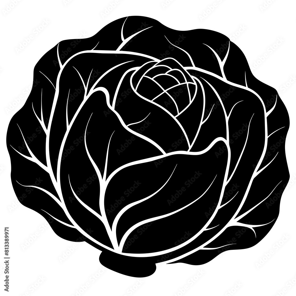 Cabbage vector art silhouette illustration Cabbage vector art silhouette illustration