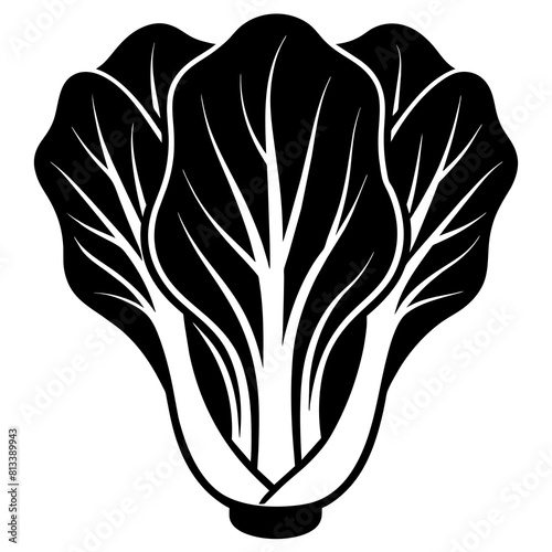Bok Choy vector illustration silhouette