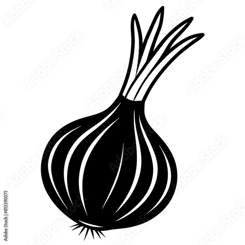 onion isolated on white Spring Onion vector silhouette illustration