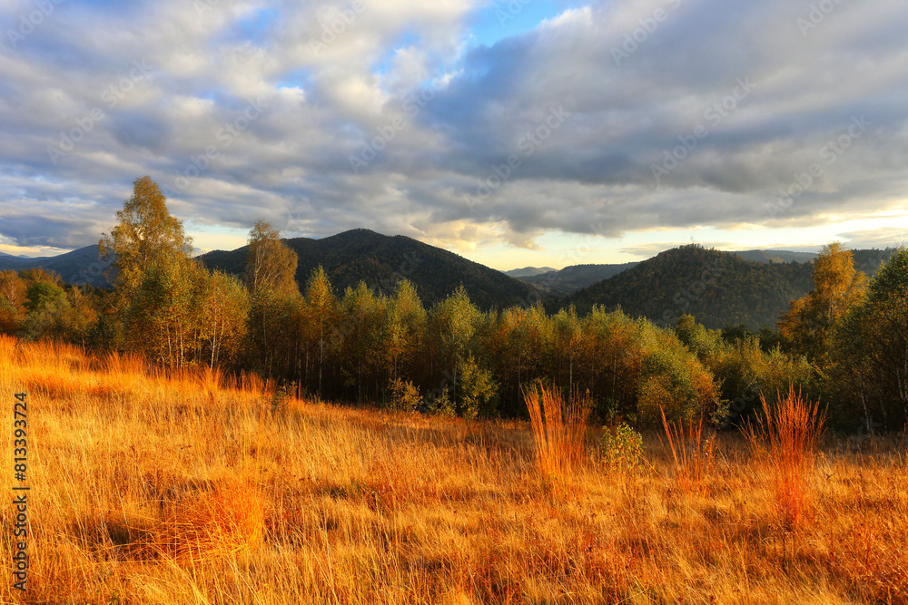 stunning autumn scene in mountains, autumn morning dawn, nature colorful background, Carpathians mountains, Ukraine, Europe