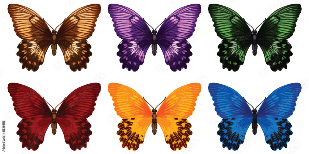Eight vibrant butterflies in various colors