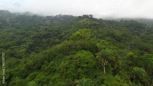 Aerial View Of Dense Tropical Rainforest In Santa Marta In Colombia  photo