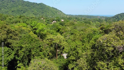 Aerial Flying Towards Dense Tropical Rainforest Jungle In Santa Marta, Colombia  photo