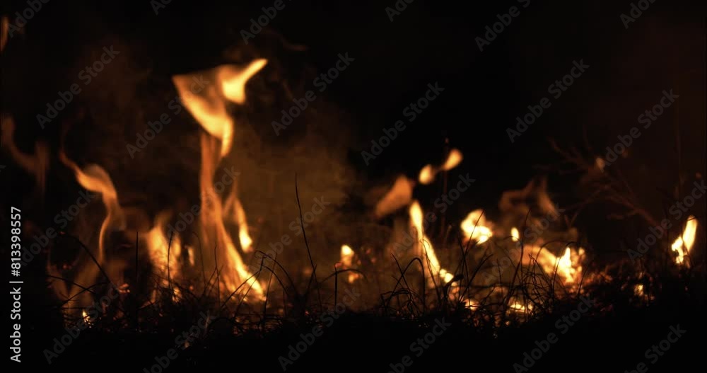 Wildfire at night. Flames burning in grass fire in slow motion.