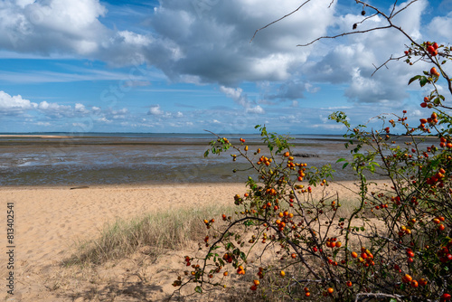 low tide on a beach in Charente in France