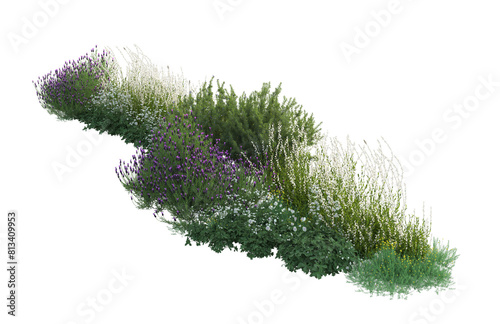 3d rendering of flowers, plants and flowers. Mediterranean garden