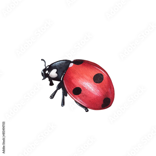 Ladybug clipart, isolated illustration. Beautiful insect on a white background, watercolor painted by hand art for wallpaper. Cartoon cute animal. Watercolour print, hand drawn,red lady bug black dots