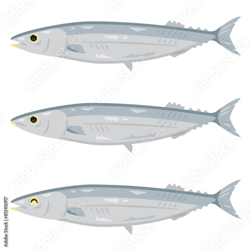 色々な表情のサンマ