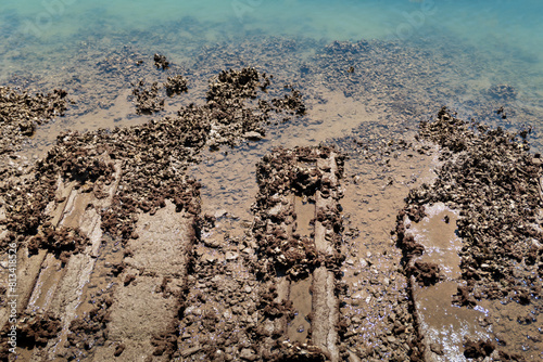 Ecossistema marinho costeiro: Alguma lama e água, algas e e pequenos corais na margem photo