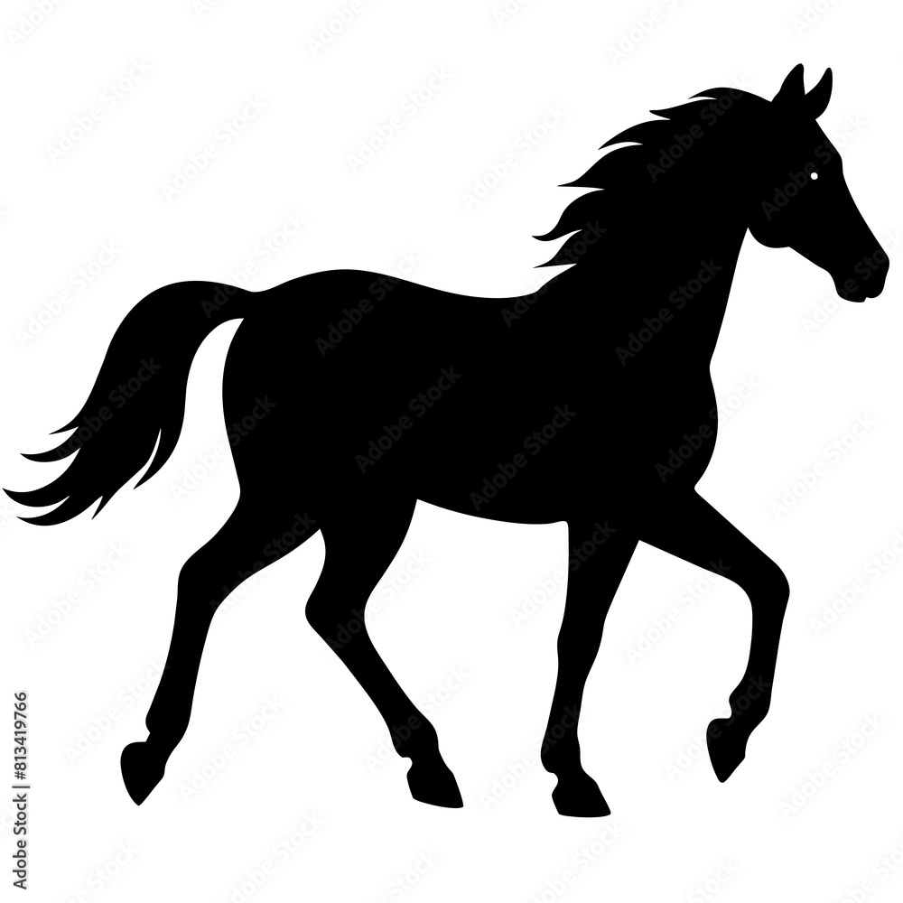 Obraz premium horse silhouette isolated on white