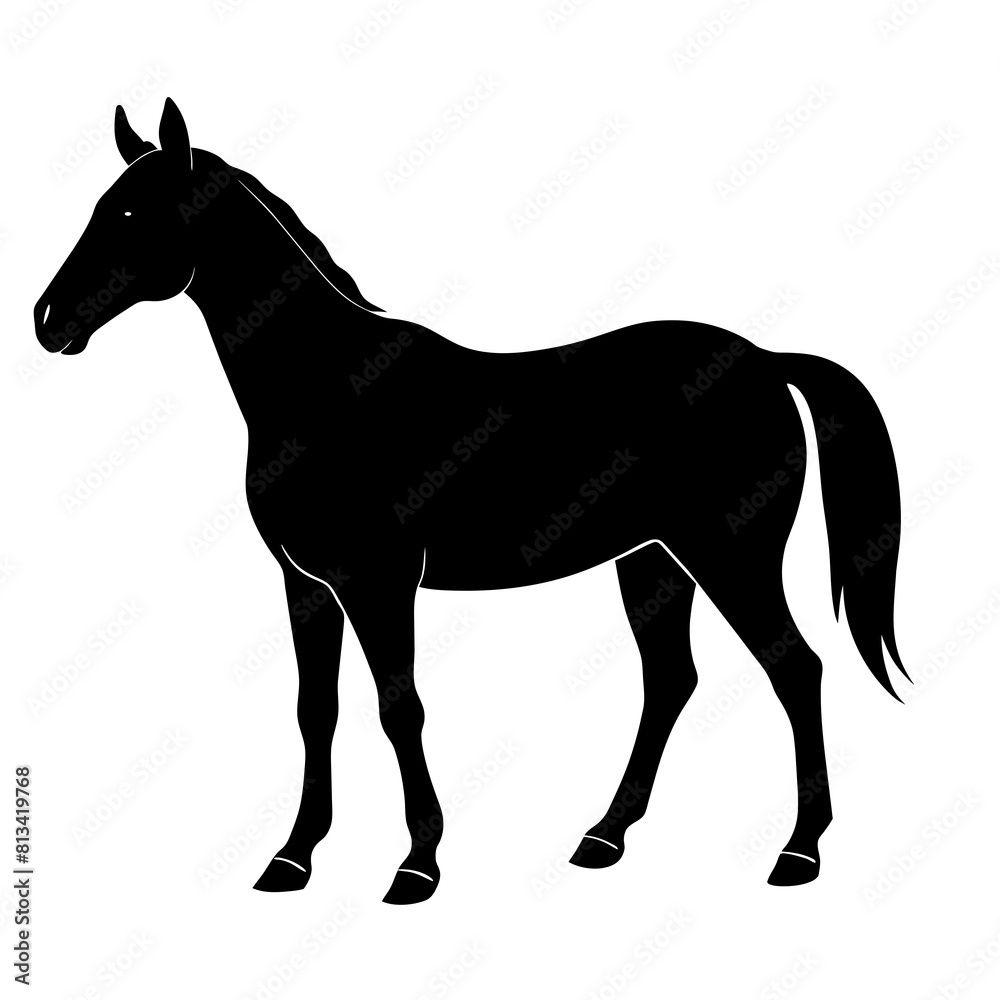Obraz premium horse silhouette isolated on white